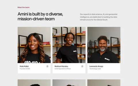 Amini team section: headline and intro above a three-column grid of team member photo cards with names and roles
