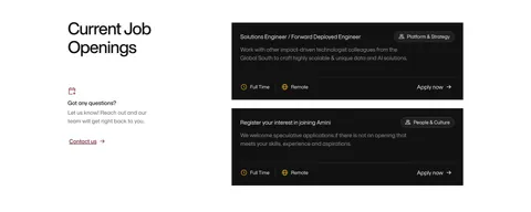 Amini careers section: headline and contact prompt on the left, two black job opening cards with tags and Apply now links on the right