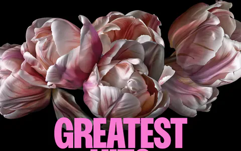 Dan Mall blog & resources section: tulip photo above a huge pink headline and three numbered essay columns on black