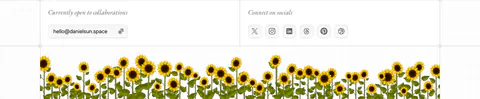 Daniel Sun footer section: collaboration email pill and social icon buttons above a strip of illustrated sunflowers