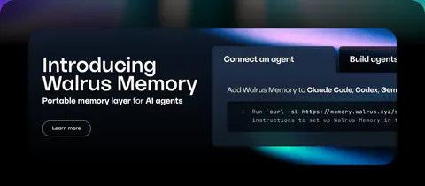 Walrus features section: dark rounded banner with product intro on the left and a tabbed code snippet panel on the right