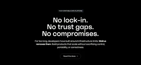 Walrus value proposition section: centered three-line statement headline, copy and outline button on black